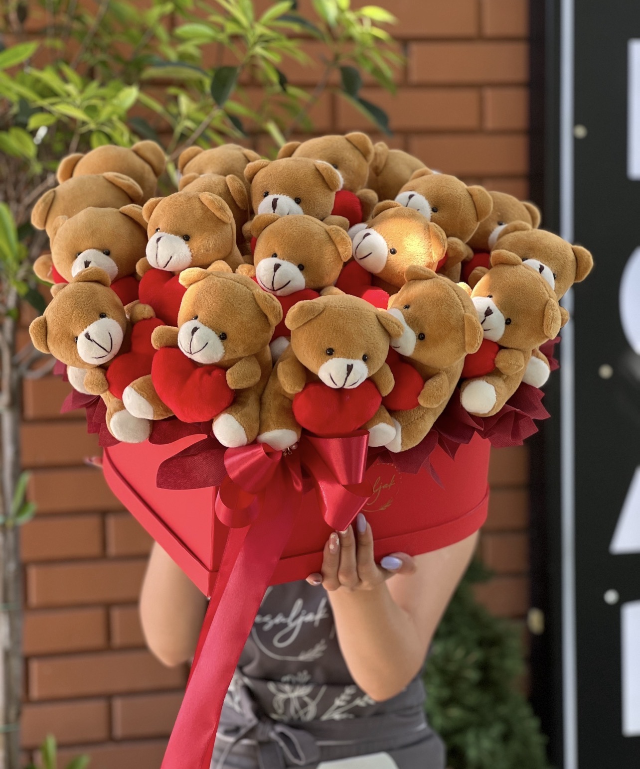 SRCE TEDDY BOX