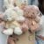 Bela teddy